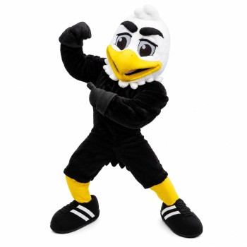 Showing Off Black Muscular Eagle Mascot Costume