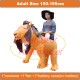 Riding Lion King Mascot Costume Inflatable Riding Lion King Mascot Costume Inflatable