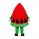 Slice of Juicy Red Watermelon Cartoon Mascot Costume