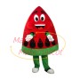 Slice of Juicy Red Watermelon Cartoon Mascot Costume