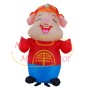 Inflatable Smiley Lucky Pig Mascot Costume
