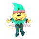 Dwarf Elf In Green Hat Mascot Costume Dwarf Elf In Green Hat Mascot Costume