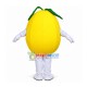 Cartoon Melon With Frowning Expression Mascot Costume Cartoon Melon With Frowning Expression Mascot Costume