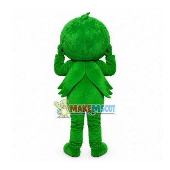 Healthy Pollution-free Green Cabbage Mascot Costume