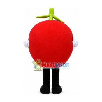 Lightweight Mature Red Apple Mascot Costume Lightweight Mature Red Apple Mascot Costume