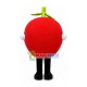 Lightweight Mature Red Apple Mascot Costume