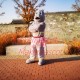 Haughty Hippo In Short Skirt Mascot Costume Haughty Hippo In Short Skirt Mascot Costume