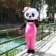 Mignon Panda Couple In Nature Mascot Costume Mignon Panda Couple In Nature Mascot Costume