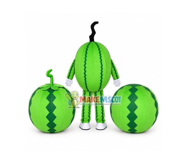 Different Version of Cartoon Watermelon Mascot Costume