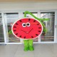 Half Cartoon Watermelon With Vines Mascot Costume Half Cartoon Watermelon With Vines Mascot Costume