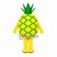 Pineapple With Uneven Surface Mascot Costume Pineapple With Uneven Surface Mascot Costume