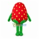 Splendid Cartoon Strawberry Sister Mascot Costume