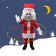 Santa Claus With Blue Glasses Mascot Costume Santa Claus With Blue Glasses Mascot Costume