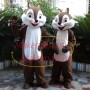 Free Squirrel Couple With Happy Life Mascot Costume