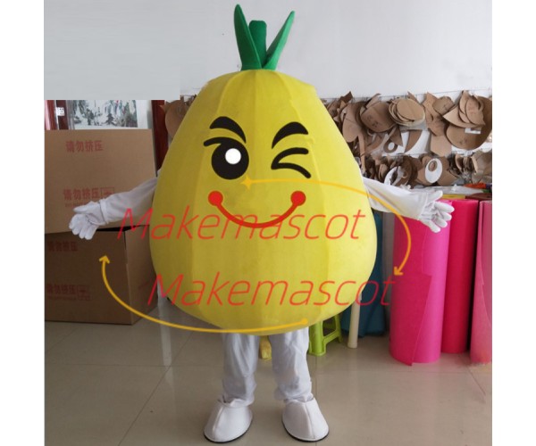 Cartoon Version Big Grapefruit Mascot Costume