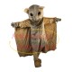 Soft Flying Bat With Night Vision Mascot Costume