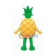 Pineapple Mascot Costume Pineapple Mascot Costume