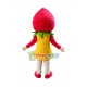 Strawberry Shortcake Girl Cartoon Adult Mascot Costume