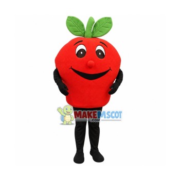 Cute Red Apple Mascot Costume