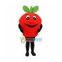 Cute Red Apple Mascot Costume