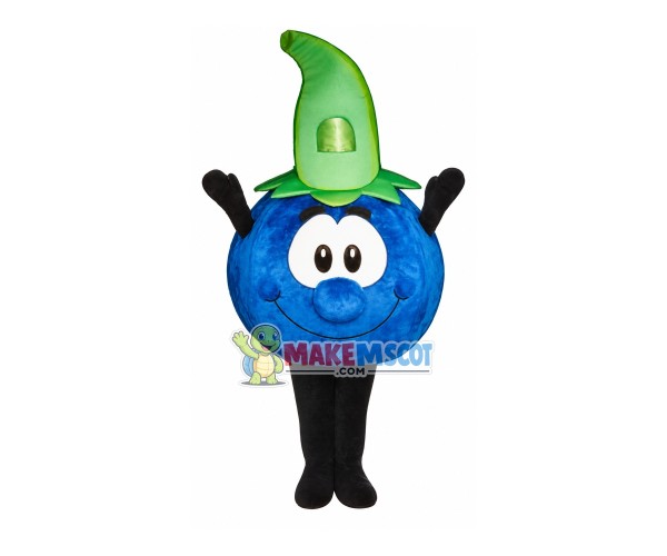Cute Blueberry Mascot Costume Cute Blueberry Mascot Costume