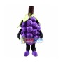 High Quality Grape Mascot Costume