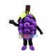 High Quality Grape Mascot Costume High Quality Grape Mascot Costume