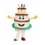Professional Birthday Cake Mascot Costume