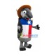 Texas Armadillo Mascot Costume
