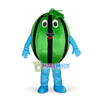 Affordable Watermelon Mascot Costume Affordable Watermelon Mascot Costume