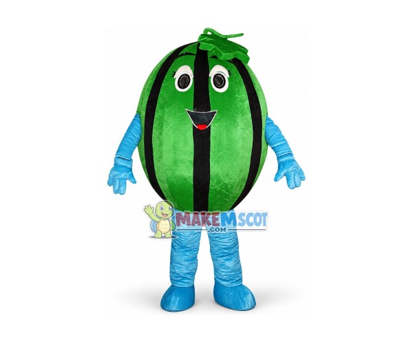 Affordable Watermelon Mascot Costume Affordable Watermelon Mascot Costume