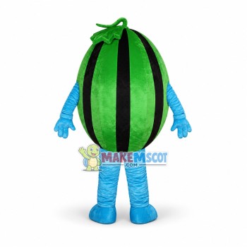 Affordable Watermelon Mascot Costume Affordable Watermelon Mascot Costume