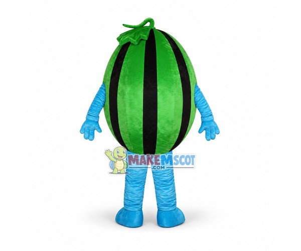 Affordable Watermelon Mascot Costume