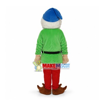 Dwarfs 1 Mascot Adult Costume