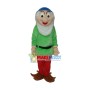 Dwarfs 1 Mascot Adult Costume
