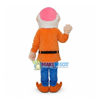 Dwarfs 5 Mascot Adult Costume Dwarfs 5 Mascot Adult Costume
