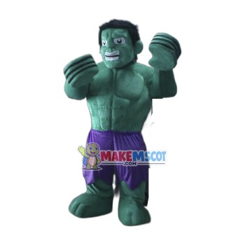 Hulk The Avengers Mascot Costumes