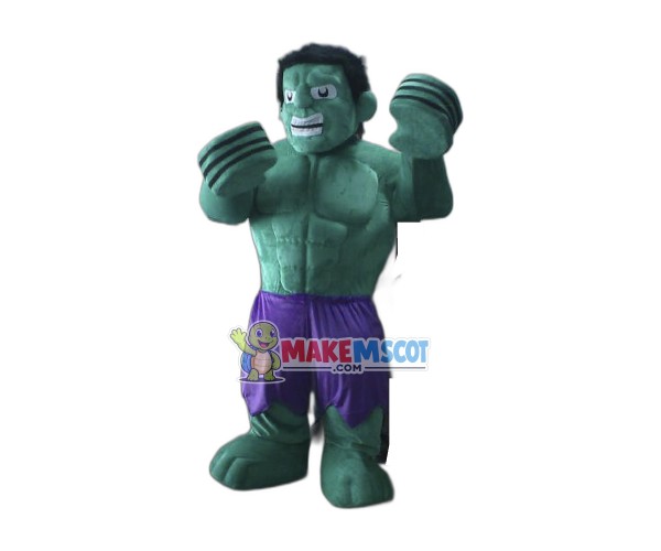 Hulk The Avengers Mascot Costumes
