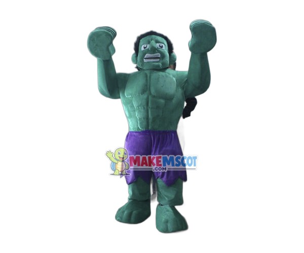 Hulk The Avengers Mascot Costumes