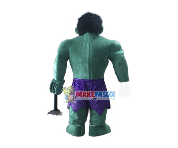 Hulk The Avengers Mascot Costumes