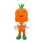 Superb Lightweight Carrot Mascot Costume