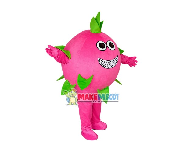 Pitaya Mascot Costume