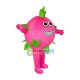 Pitaya Mascot Costume