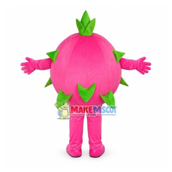 Pitaya Mascot Costume