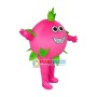 Pitaya Mascot Costume