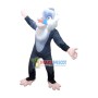 Lion King Costume Rafiki Mascot Costume