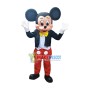 Mouse Clubhouse Regular Mr. Mouse Mickey Mascot Costume
