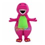 Barney Dinosaur Mascot Costume
