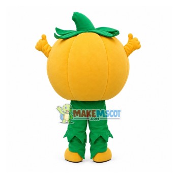 Cartton Pumpkin Mascot Costume Cartton Pumpkin Mascot Costume
