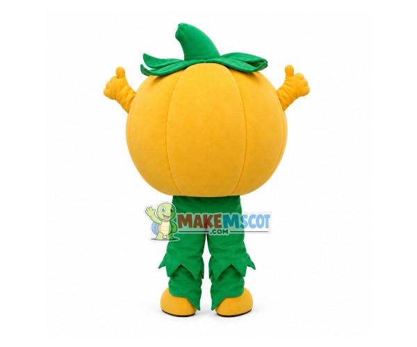Cartton Pumpkin Mascot Costume